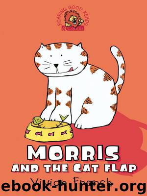 Morris and the Cat Flap by Vivian French