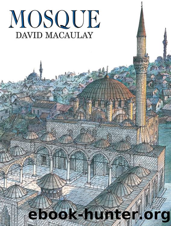 Mosque by David Macaulay