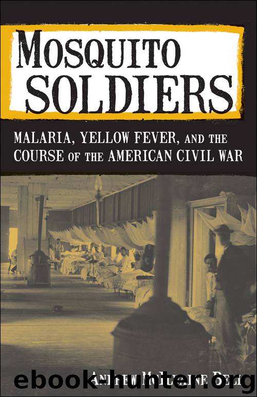 Mosquito Soldiers by Andrew McIlwaine Bell