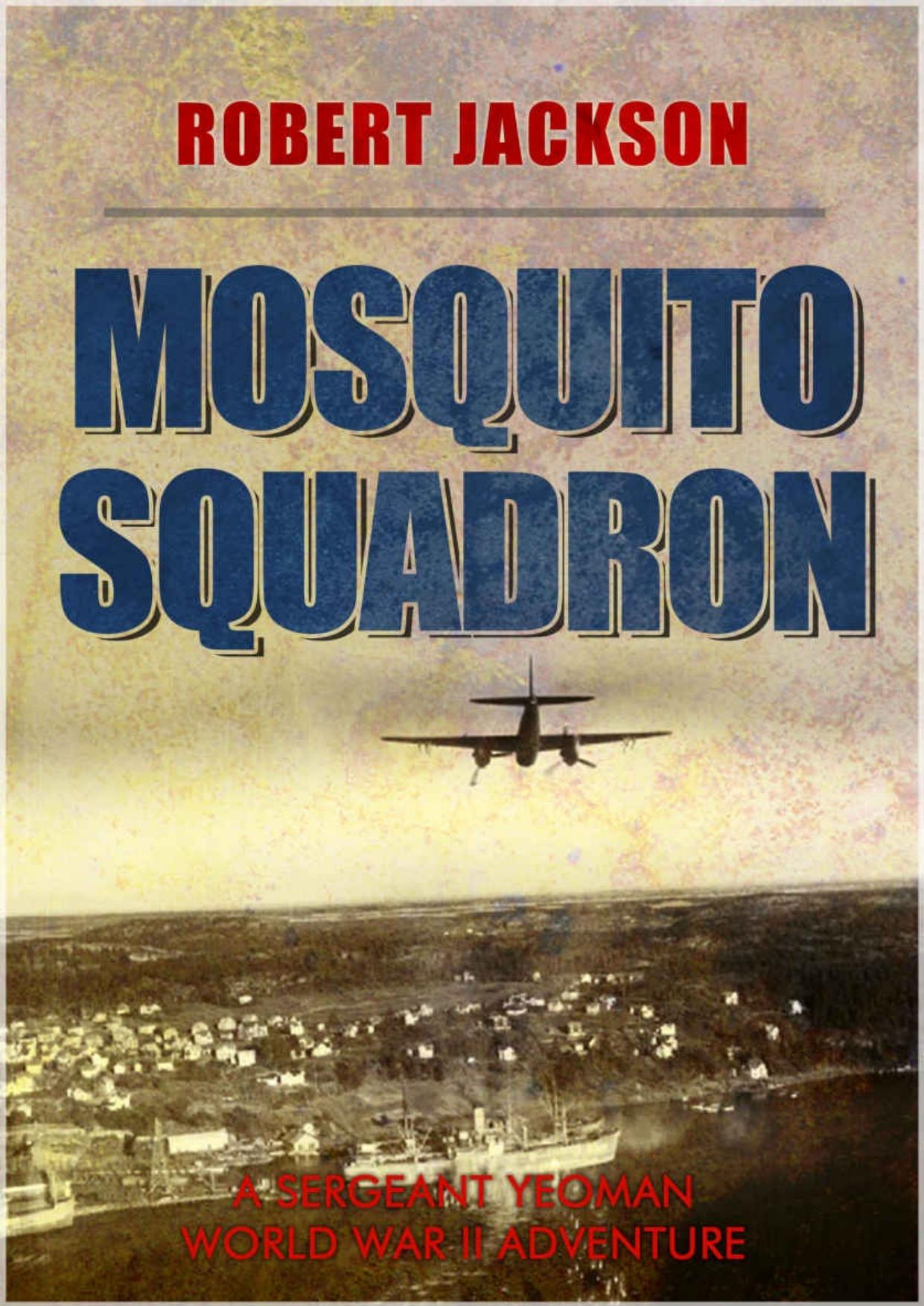 Mosquito Squadron : Yeoman in the battle over Germany by Jackson Robert