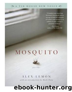 Mosquito by Alex Lemon
