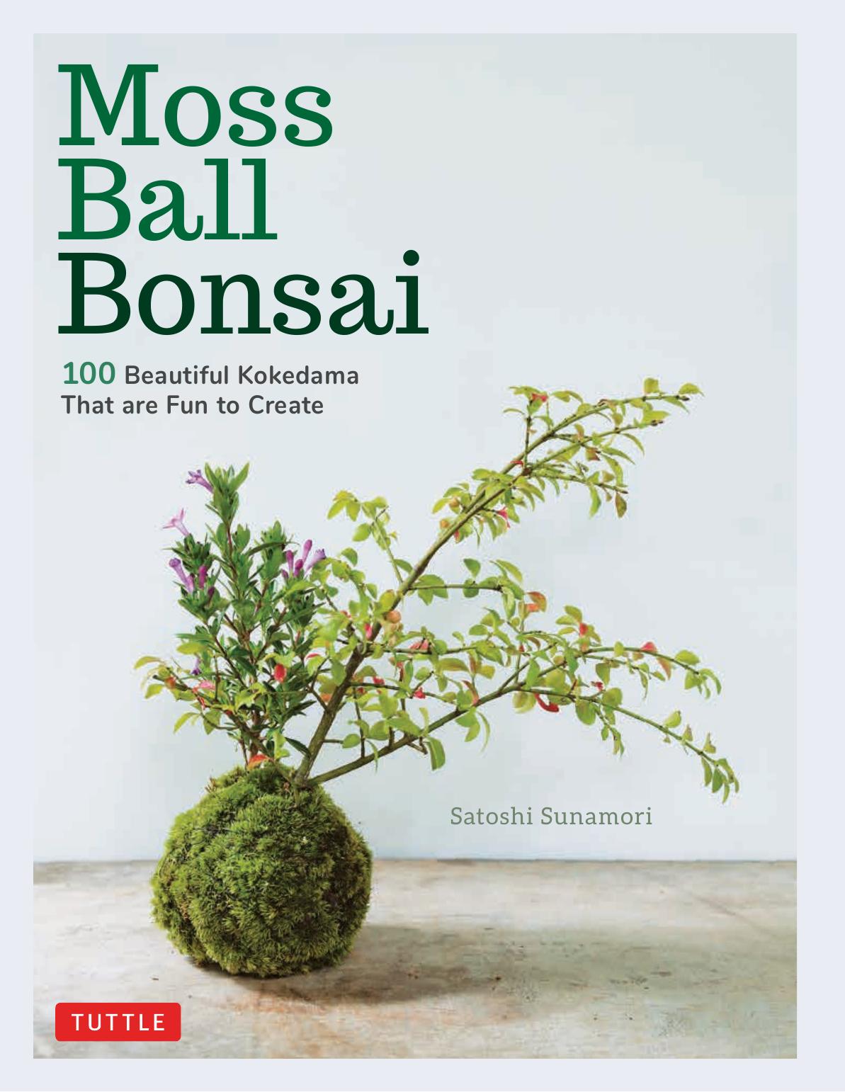 Moss Ball Bonsai by Satoshi Sunamori
