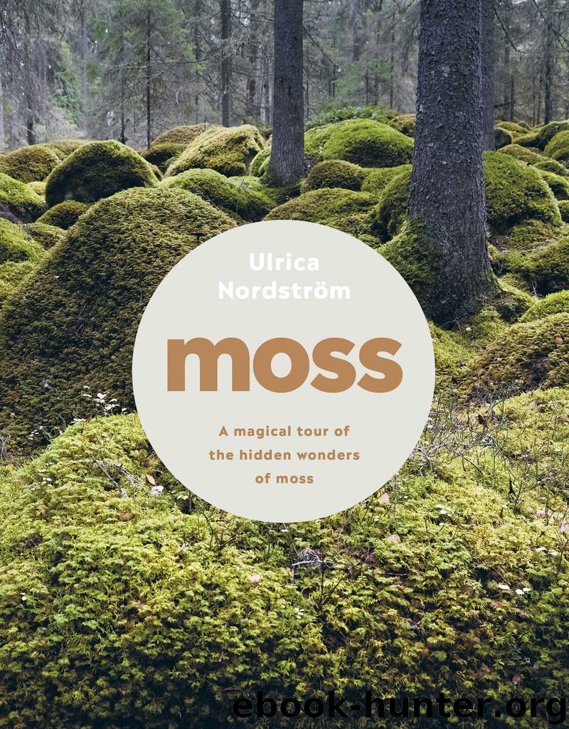 Moss by Ulrica Nordström