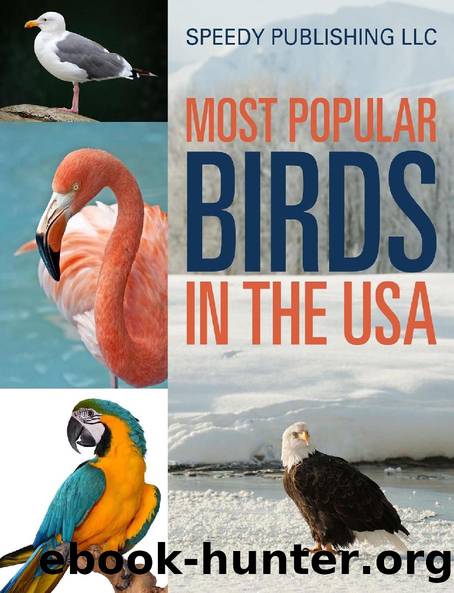Most Popular Birds In The USA (Bird Fun and Facts) by Speedy Publishing