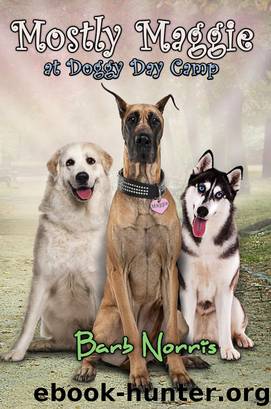 Mostly Maggie at Doggy Day Care by Barb Norris