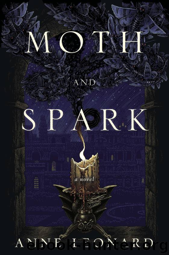 Moth and Spark by Anne Leonard
