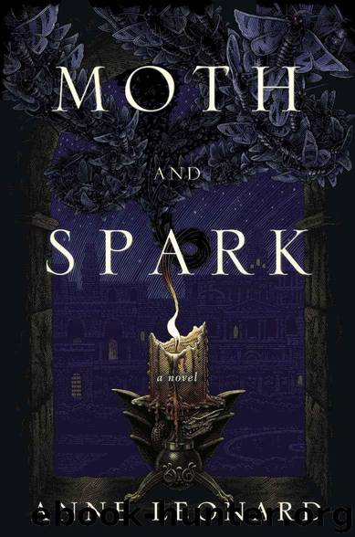 Moth and Spark: A Novel by Leonard Anne
