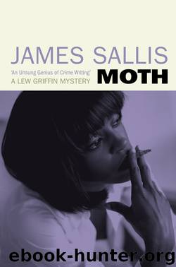 Moth by James Sallis