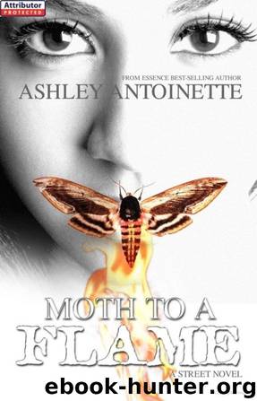 Moth to a Flame by Ashley Antoinette