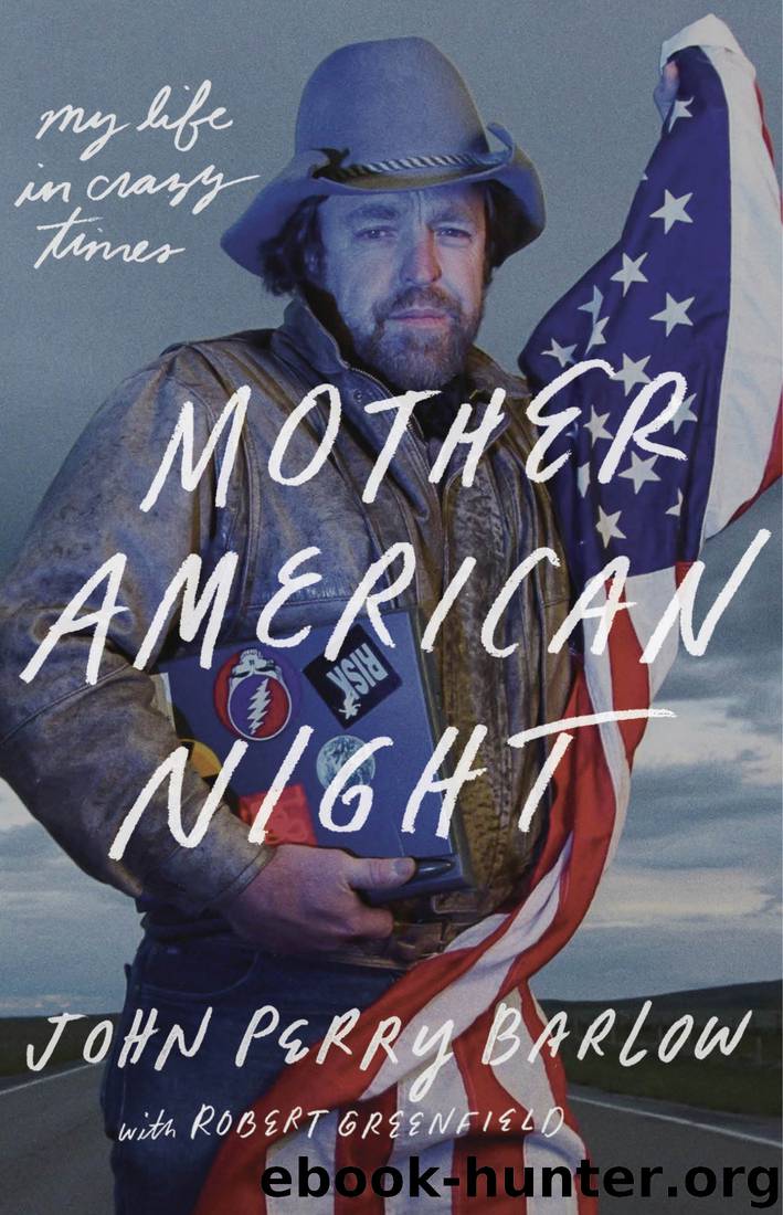 Mother American Night by John Perry Barlow & Robert Greenfield