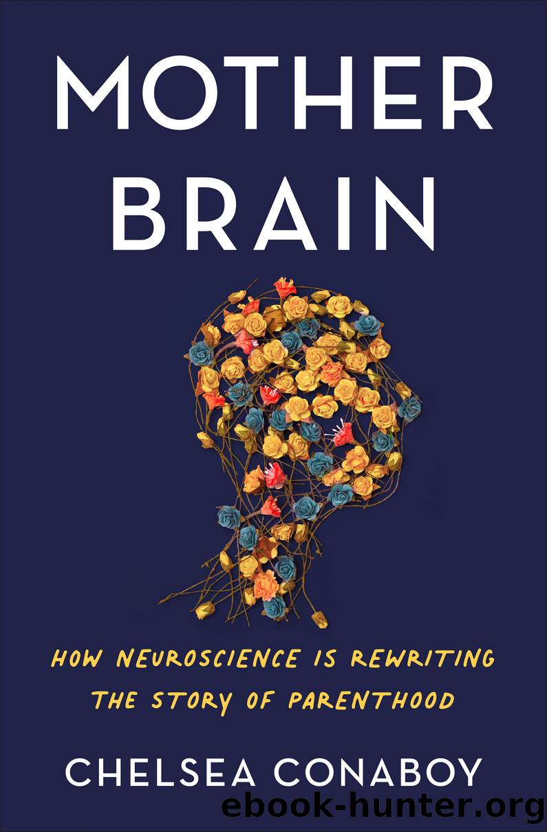 Mother Brain by Chelsea Conaboy