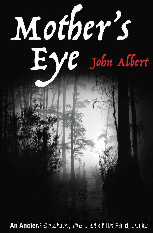 Mother's Eye by John Albert