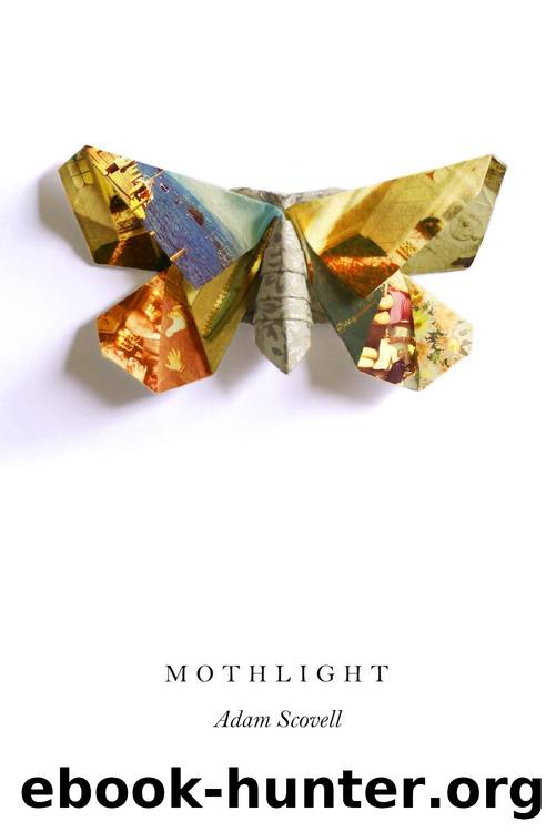 Mothlight by Adam Scovell
