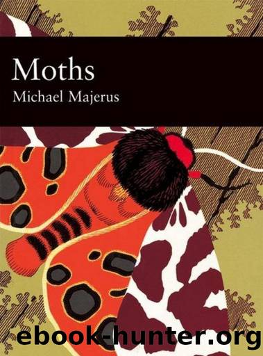 Moths by Michael Majerus