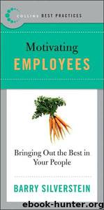 Motivating Employees : Bringing Out the Best in Your People by Barry Silverstein