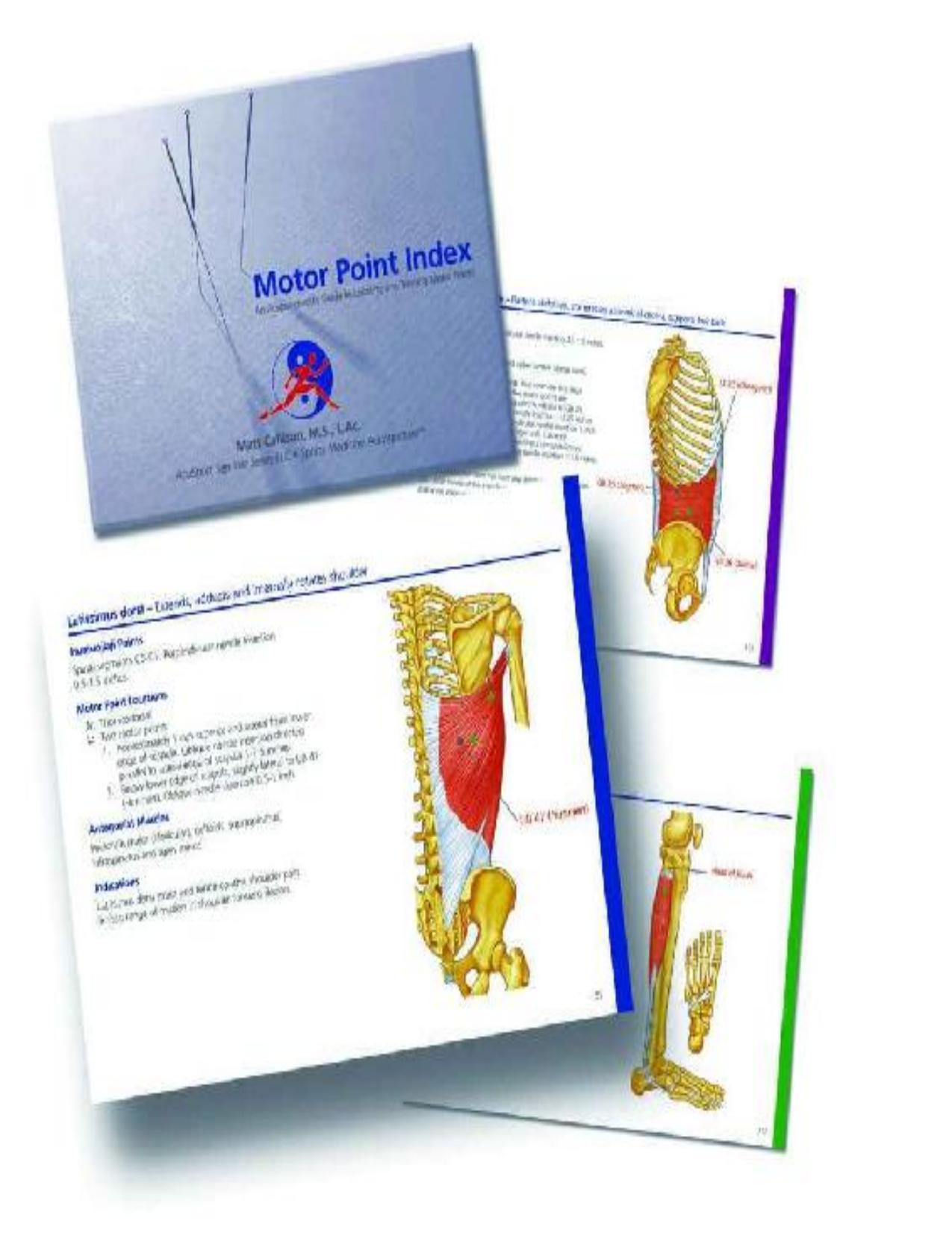 Motor Point Index - An Acupuncturist's Guide to Locating and Treating Motor Ponts by Matt Callison