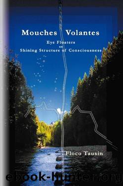 Mouches Volantes - Eye Floaters as Shining Structure of Consciousness by Floco Tausin