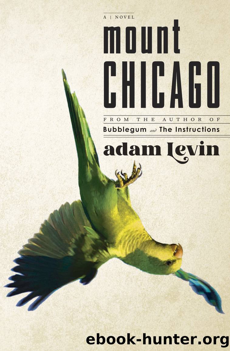 Mount Chicago by Adam Levin