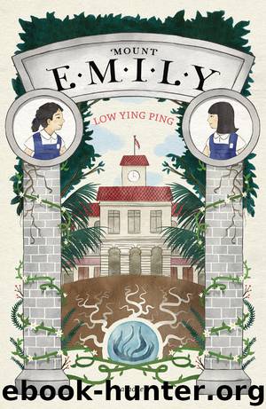 Mount Emily by Low Ying Ping