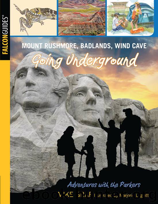 Mount Rushmore, Badlands, Wind Cave by Mike Graf