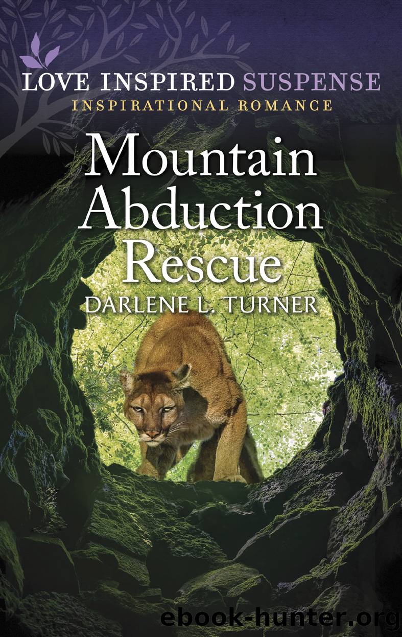 Mountain Abduction Rescue by Darlene L. Turner