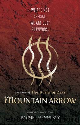 Mountain Arrow by Rachel Hennessy