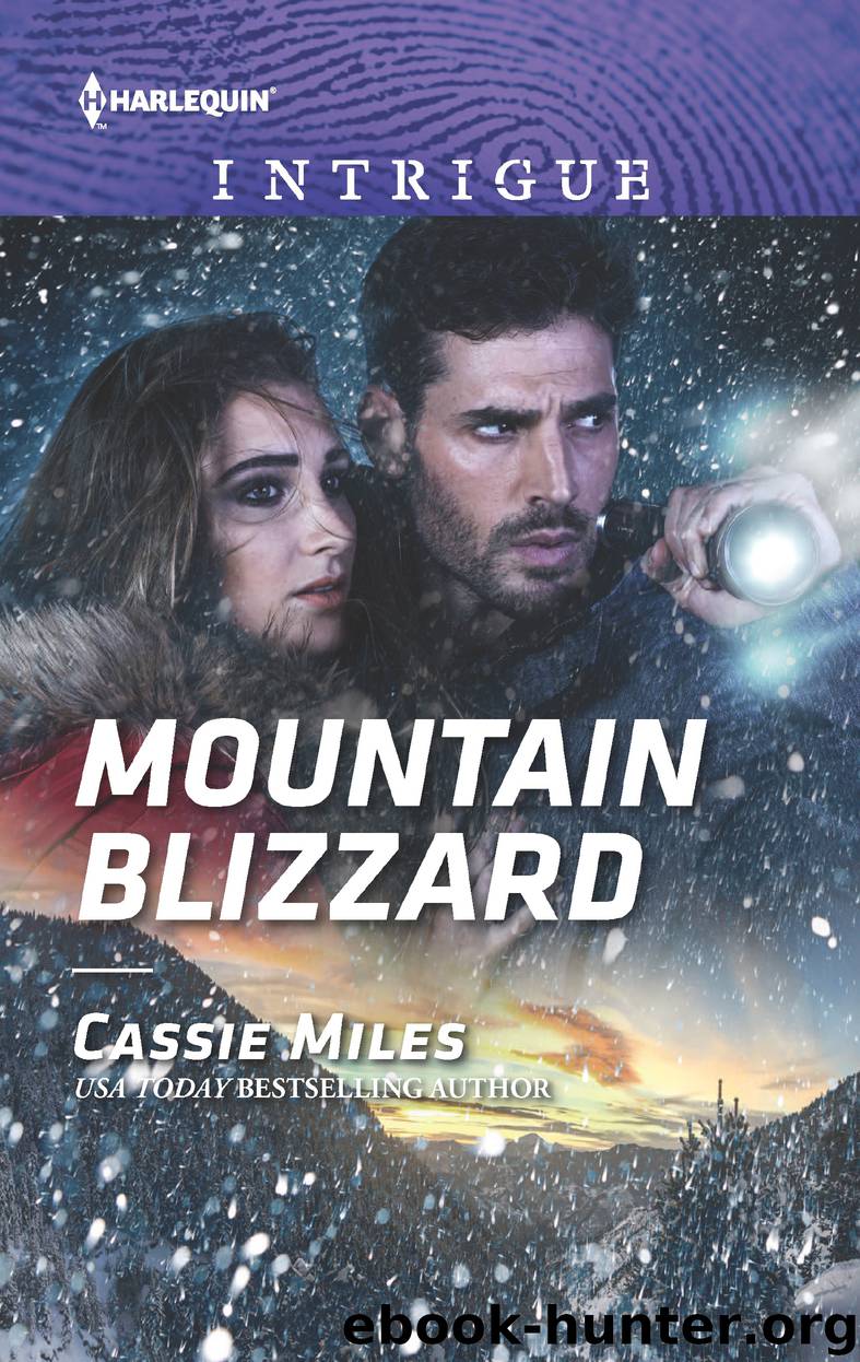 Mountain Blizzard by Cassie Miles