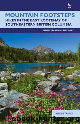 Mountain Footsteps by Janice Strong