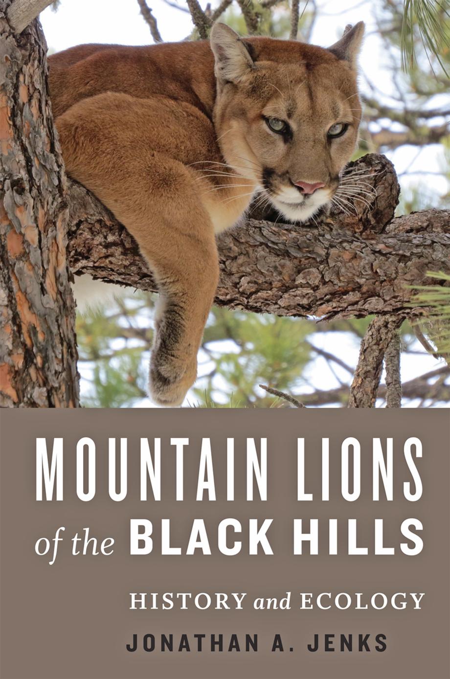 Mountain Lions of the Black Hills: History and Ecology by Jonathan A. Jenks