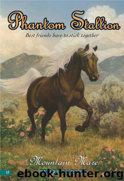 Mountain Mare by Terri Farley