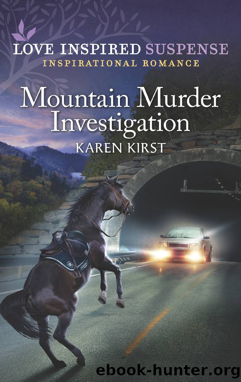 Mountain Murder Investigation by Karen Kirst