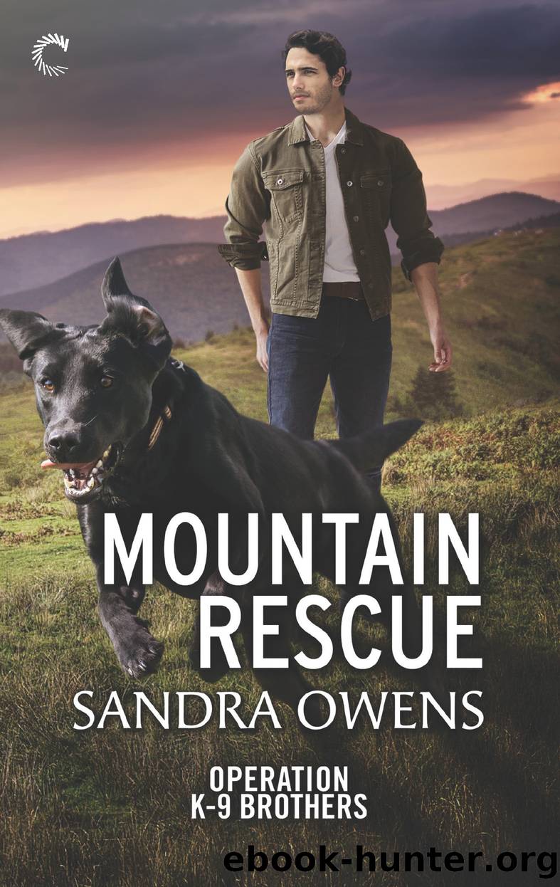 Mountain Rescue by Sandra Owens