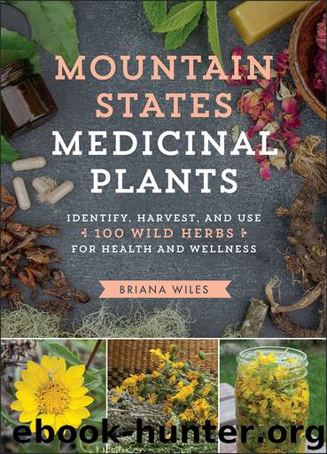 Mountain States Medicinal Plants by Briana Wiles