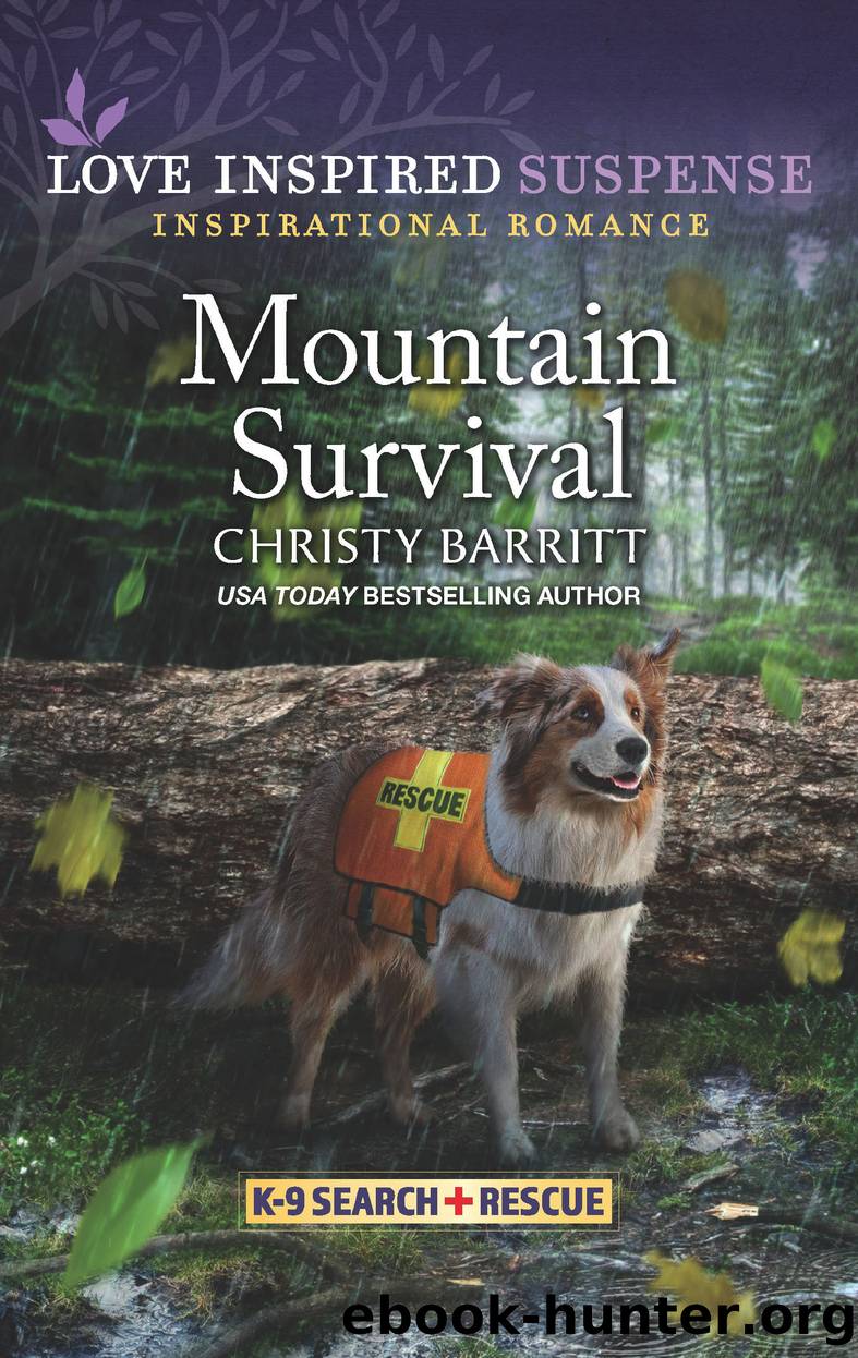 Mountain Survival by Christy Barritt