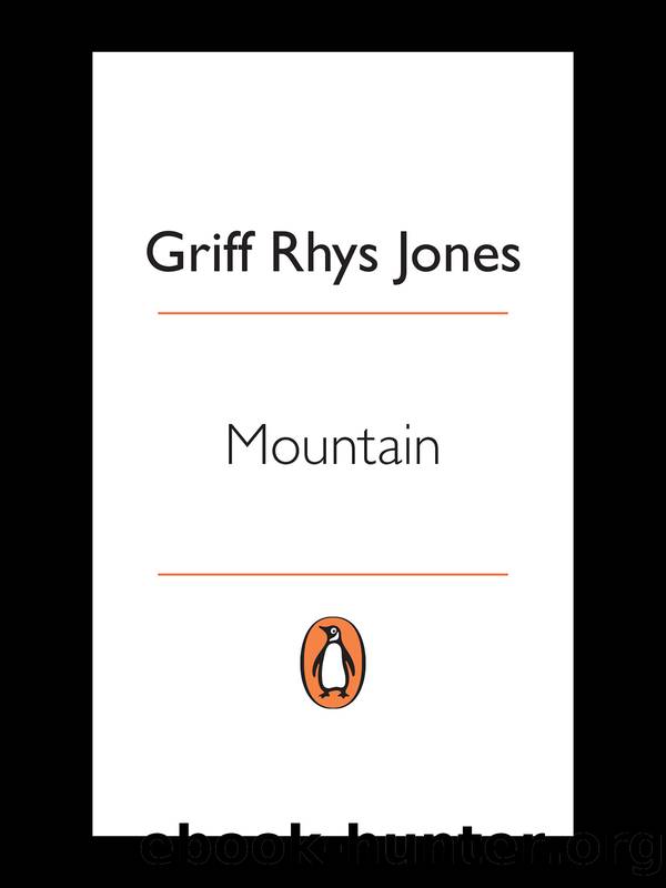 Mountain by Griff Rhys Jones