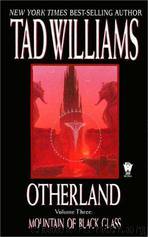 Mountain of Black Glass by Tad Williams