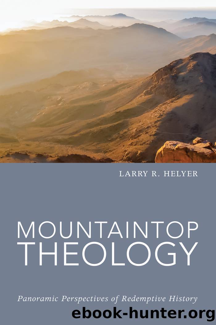 Mountaintop Theology by Helyer Larry R.;