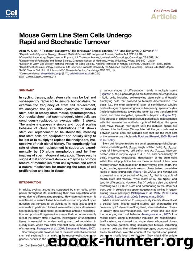Mouse Germ Line Stem Cells Undergo Rapid and Stochastic Turnover by Allon M. Klein & Toshinori Nakagawa & Rie Ichikawa & Shosei Yoshida & Benjamin D. Simons