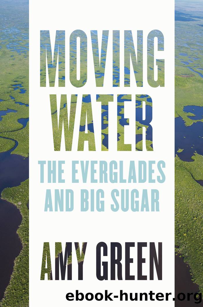 Moving Water by Amy Green