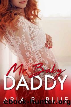 Mr Baby Daddy by Aria R Blue