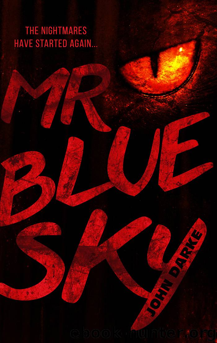 Mr Blue Sky by John Darke