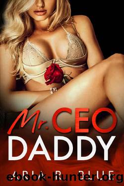 Mr CEO Daddy by Aria R Blue