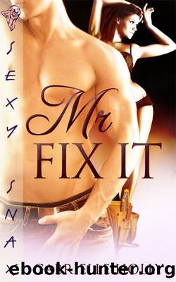 Mr Fix It by Gabrielle Holly