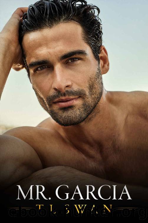 Mr Garcia by Swan T L