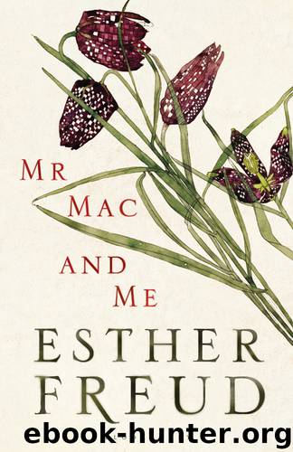 Mr Mac and Me by Esther Freud