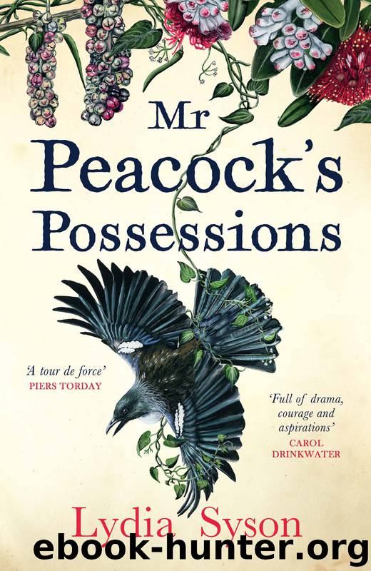 Mr Peacock's Possessions by Lydia Syson