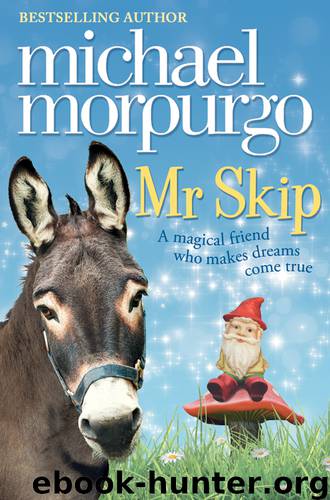 Mr Skip by Michael Morpurgo
