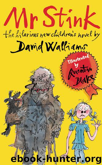 Mr Stink by David Walliams