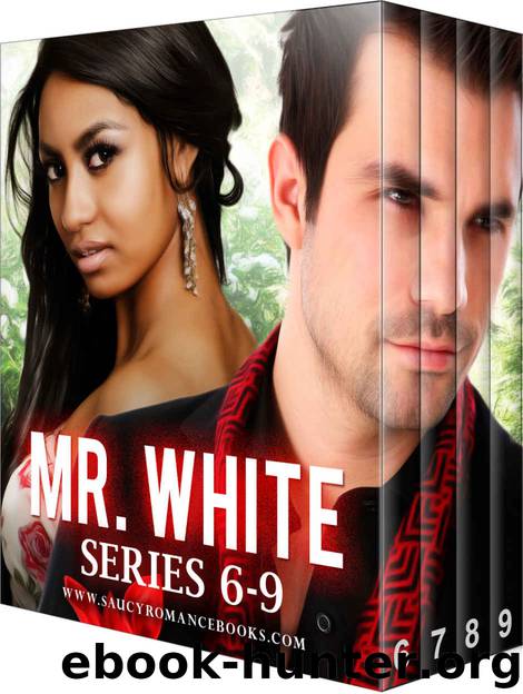 Mr White Series 6-9: A BWWM Billionaire Pregnancy Romance by Bwwm Club & J A Fielding