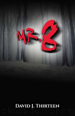 Mr. 8 by David J. Thirteen